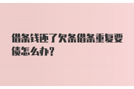 涉县为什么选择专业追讨公司来处理您的债务纠纷？